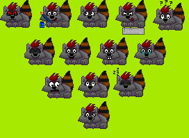 cooncollection.png null