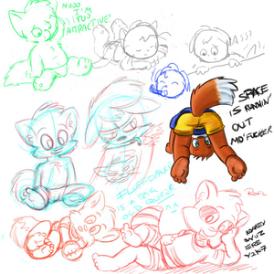 rordashjanlr2.jpg null