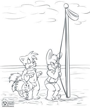 tailsjoebeach3.png null