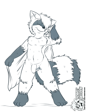 shirodryoff.png Commission sketch for shirosirius of his raccoon character drying off after a shower XP.