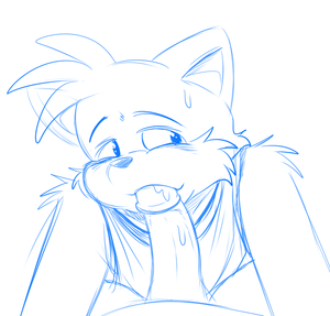 tailsbjsketch.png null