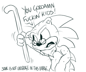 oldsonic.png null