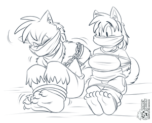 harrytrixiebound.png null