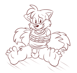 tailspawshow.png null