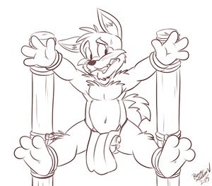 lupestaketied.png null