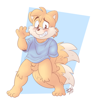 tailswaveawk.png null