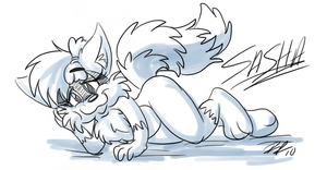 sashasketch.png null