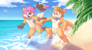 beachychvaldisr.png null