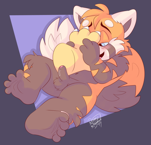 beannbowpaw.png null