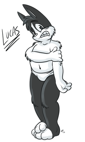 lucasundies.png null