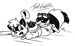 tonytied.png This is a sketch for tonyringtail , generously purchased by jordanrinehart during a livestream session. It's a raccoon, omg!