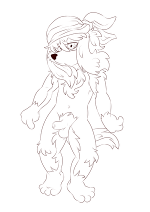 jinmaccposel.png null