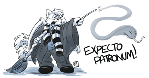 ceejypotter.png null